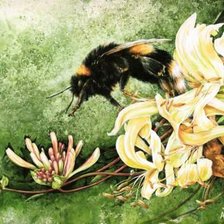 Cross stitch pattern: #362062