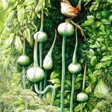 Cross stitch pattern: #362066