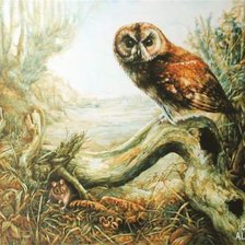 Cross stitch pattern: #362067