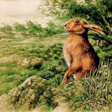 Cross stitch pattern: #362068