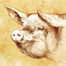 Cross stitch pattern: #362069