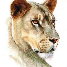 Cross stitch pattern: #362071