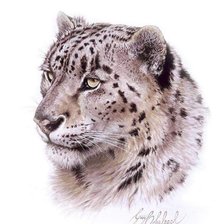 Cross stitch pattern: #362073