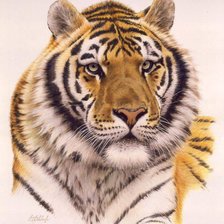 Cross stitch pattern: #362074