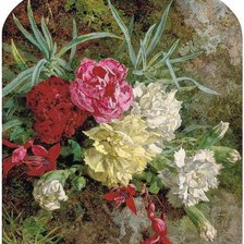 Cross stitch pattern: #362569