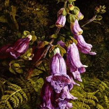 Cross stitch pattern: #362570