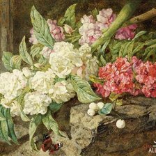 Cross stitch pattern: #362572