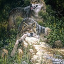 Cross stitch pattern: #362662