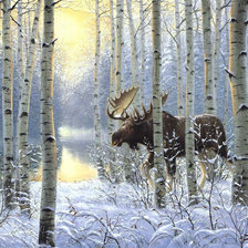 Cross stitch pattern: #362670