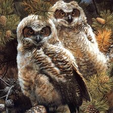 Cross stitch pattern: #362791