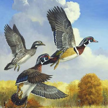 Cross stitch pattern: #362793