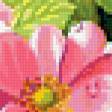 Preview of cross stitch pattern: #362988