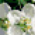 Preview of cross stitch pattern: #363369