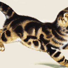 Cross stitch pattern: #363712