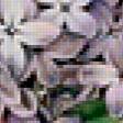 Preview of cross stitch pattern: #363869