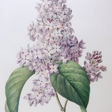 Cross stitch pattern: #363869