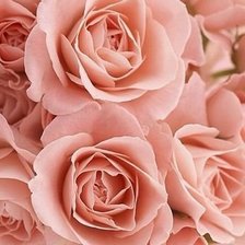 Cross stitch pattern: #363979
