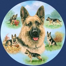 Cross stitch pattern: #364246