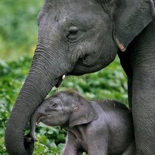 Cross stitch pattern: #364322