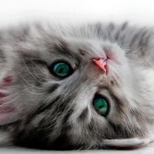 Cross stitch pattern: #365171