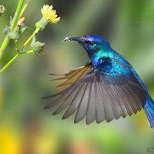 Cross stitch pattern: #365174