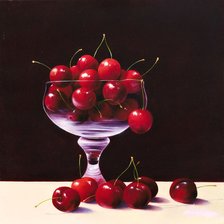 Cross stitch pattern: #365253