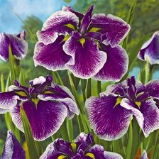 Cross stitch pattern: #365300