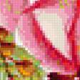 Preview of cross stitch pattern: #365309