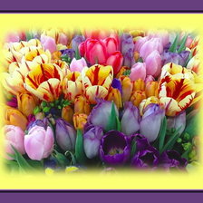 Cross stitch pattern: #365629