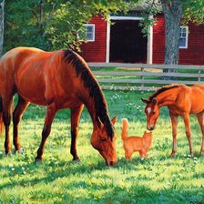 Cross stitch pattern: #365675