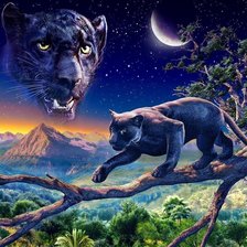 Cross stitch pattern: #366012