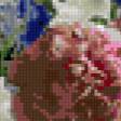 Preview of cross stitch pattern: #366419