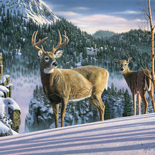 Cross stitch pattern: #366916