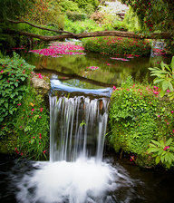 Cross stitch pattern: #367143