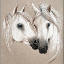 Cross stitch pattern: #367680