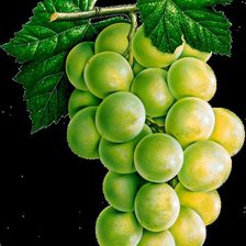 Cross stitch pattern: #369259