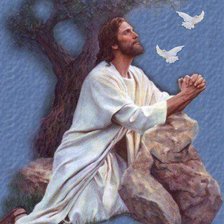 Cross stitch pattern: #369374