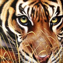 Cross stitch pattern: #369391