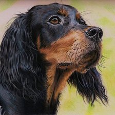 Cross stitch pattern: #369814