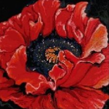 Cross stitch pattern: #369855