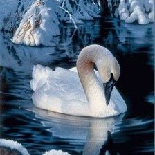 Cross stitch pattern: #370169