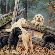 Cross stitch pattern: #370173