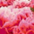 Preview of cross stitch pattern: #370710