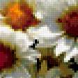Preview of cross stitch pattern: #370711