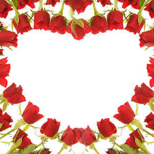 Cross stitch pattern: #370719