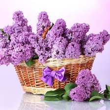 Cross stitch pattern: #370727