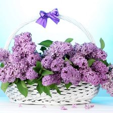 Cross stitch pattern: #370728
