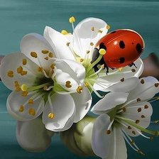 Cross stitch pattern: #370741