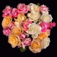 Cross stitch pattern: #370748