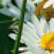 Preview of cross stitch pattern: #370752